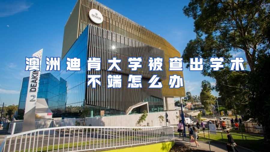 澳洲迪肯大學被查出學術不端怎么辦