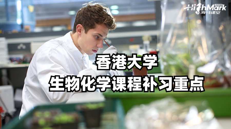 香港大學生物化學課程補習重點