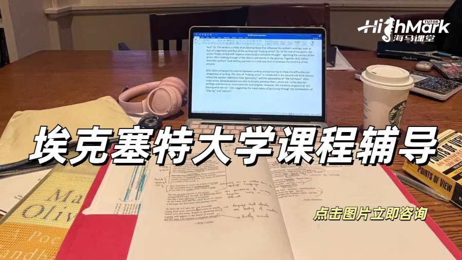 埃克塞特大學計算機科學藍腦課程輔導