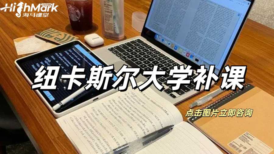 紐卡斯爾大學補課