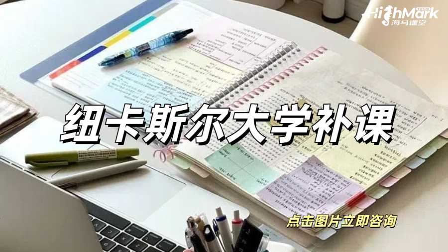 紐卡斯爾大學補課