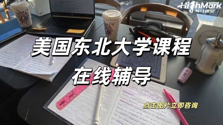 美國東北大學課程在線輔導