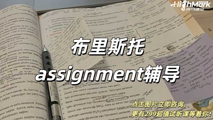 布里斯托assignment輔導