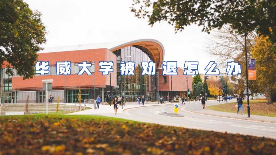 華威大學被勸退怎么辦