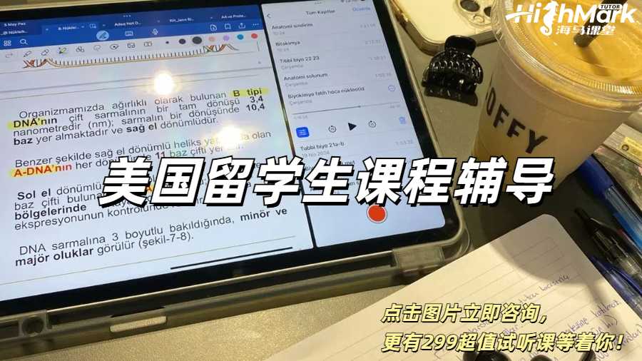 美國留學生課程輔導