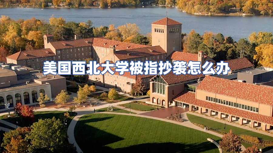 美國西北大學被指抄襲怎么辦