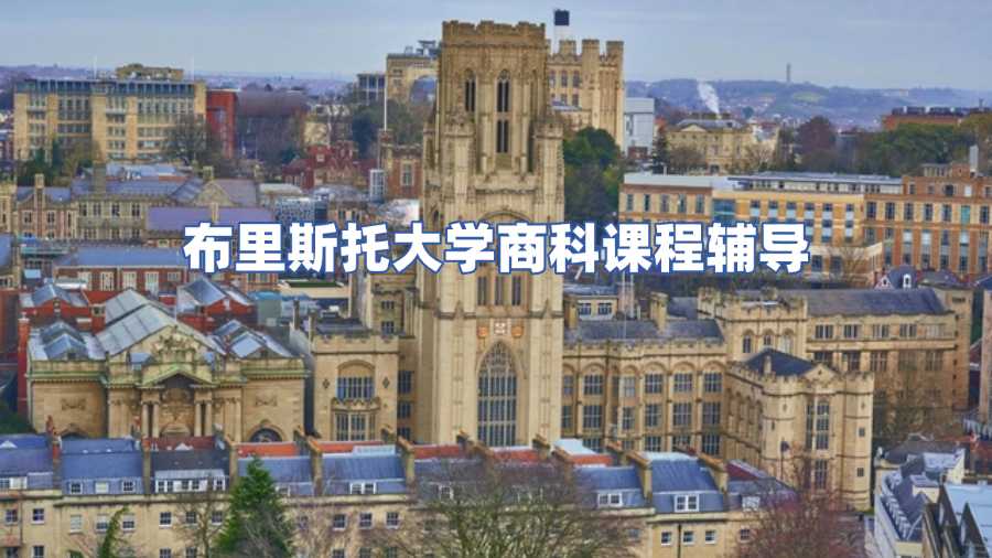 布里斯托大學商科課程輔導