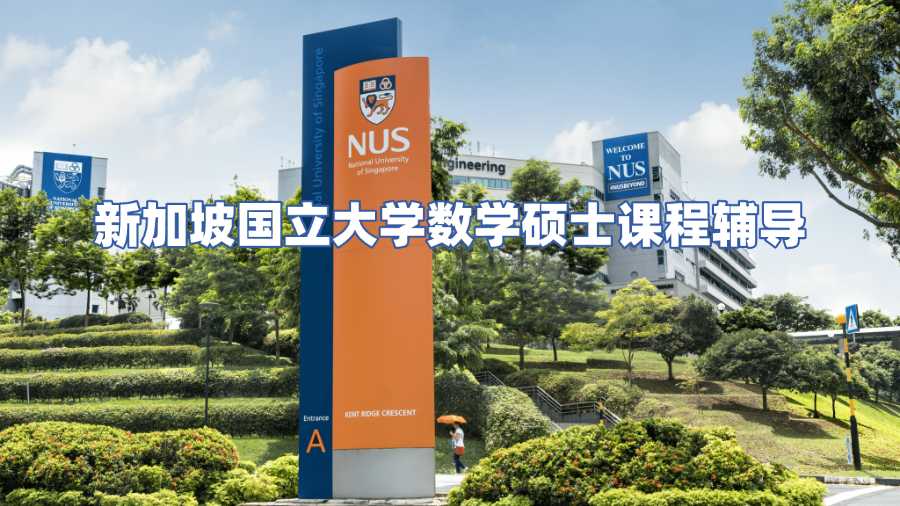 新加坡國立大學數學碩士課程輔導