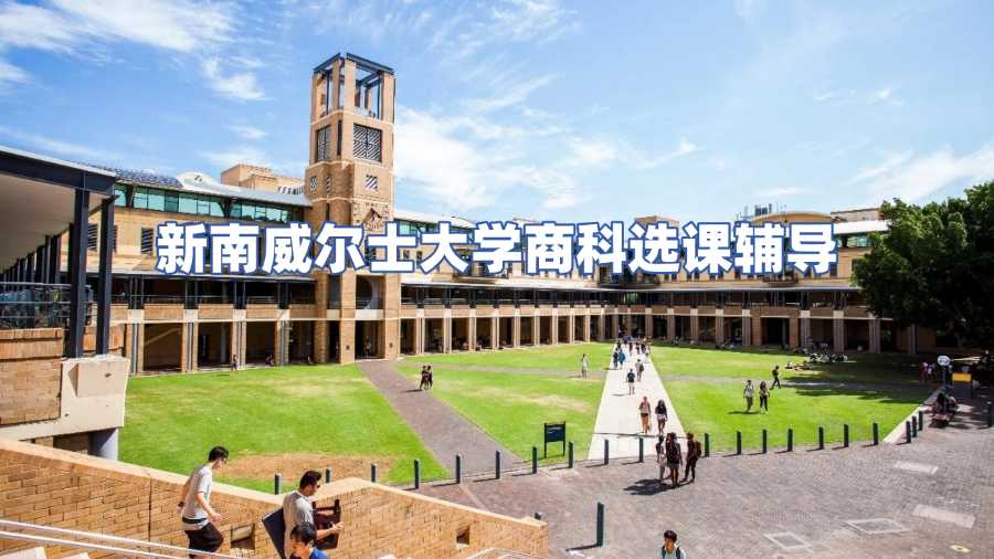 新南威爾士大學商科選課輔導