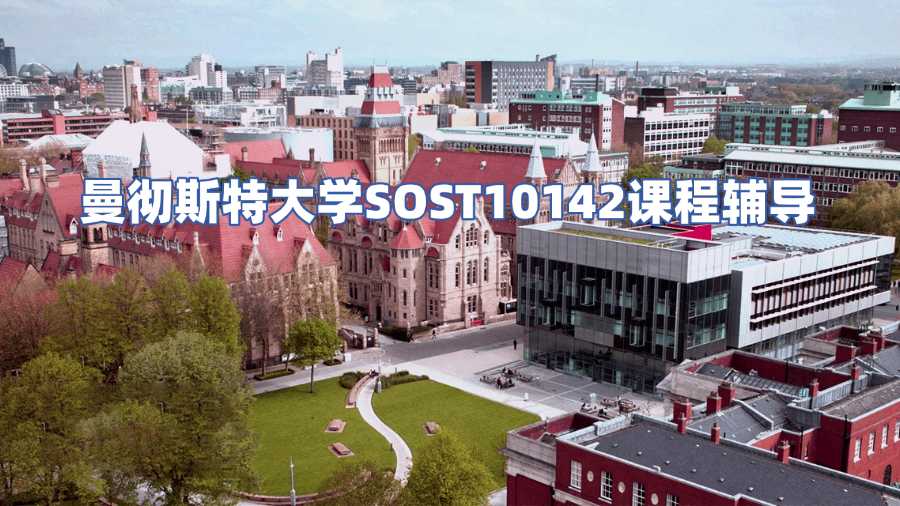 曼徹斯特大學SOST10142課程輔導