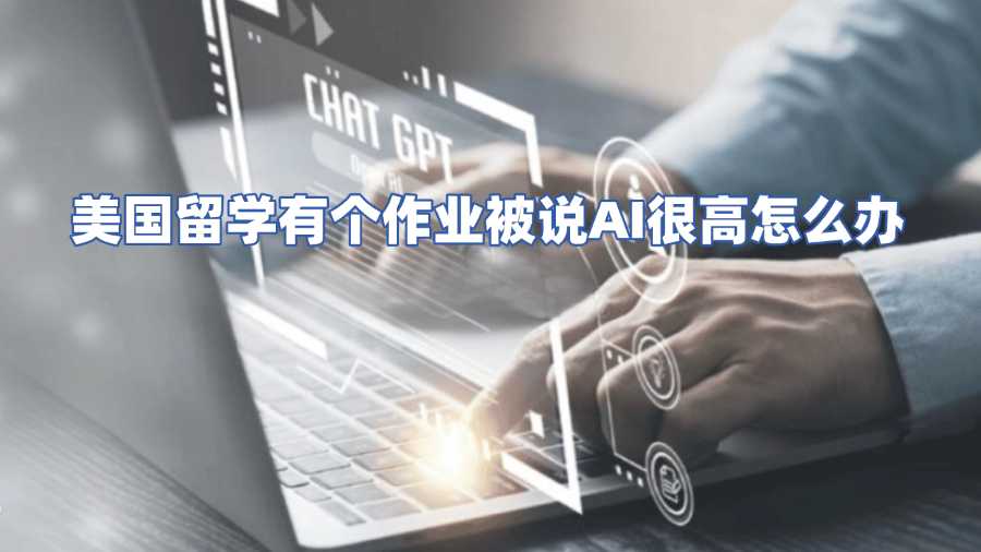 美國留學有個作業被說AI很高怎么辦