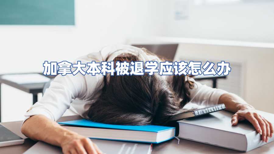 加拿大本科被退學應該怎么辦