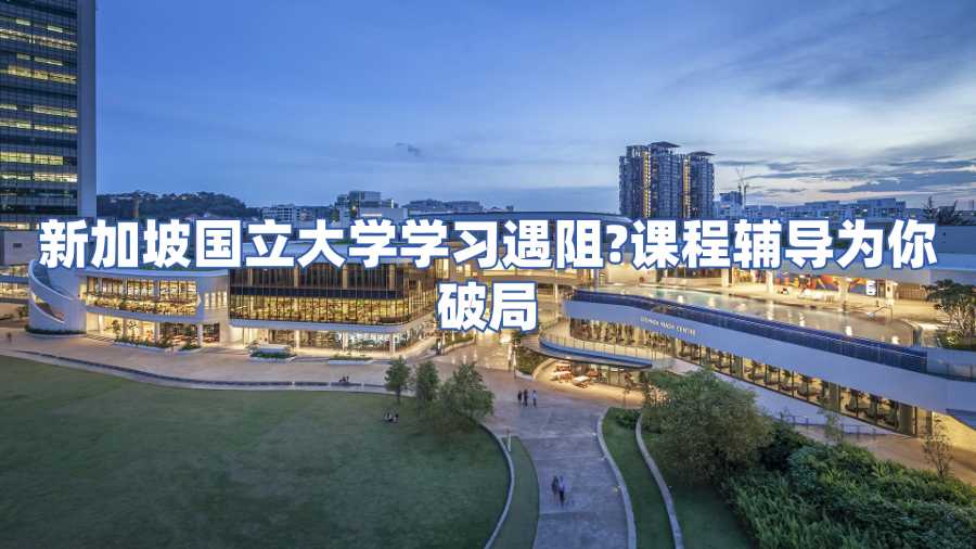 新加坡國立大學課程輔導