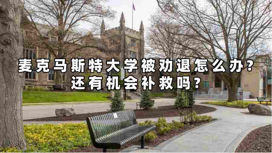 麥克馬斯特大學被勸退怎么辦