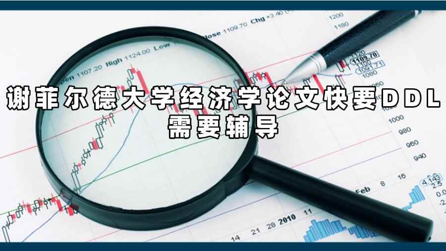 謝菲爾德大學經濟學論文輔導