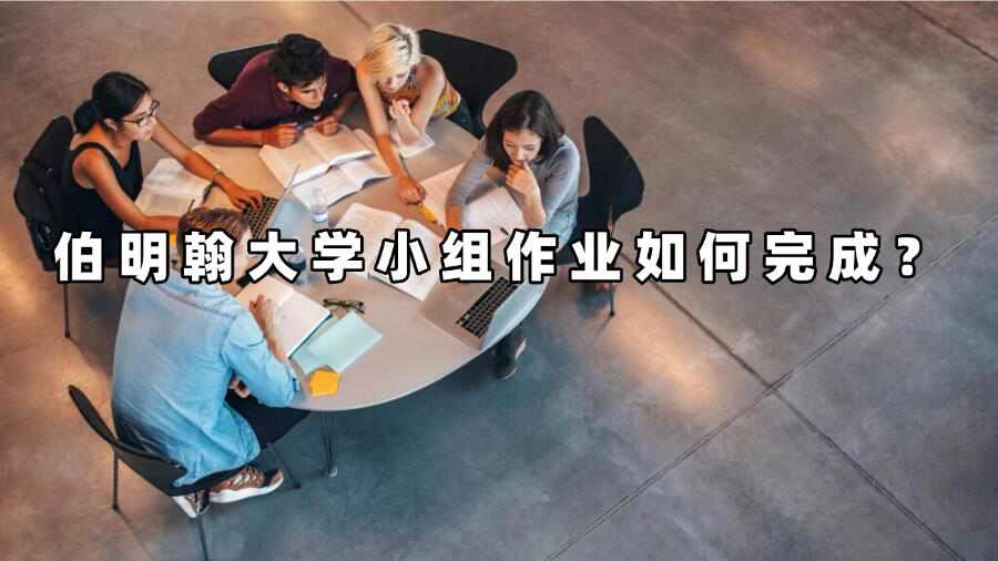 伯明翰大學小組作業