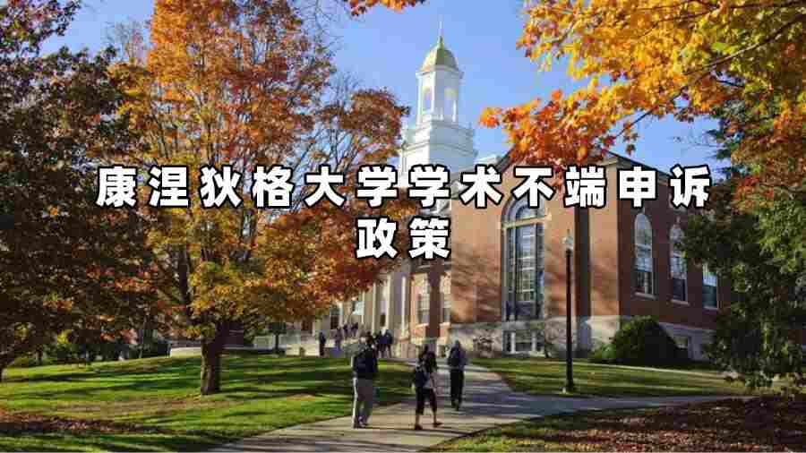 康涅狄格大學學術不端申訴政策