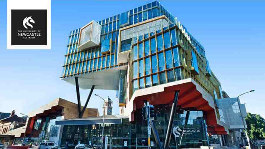 紐卡斯?fàn)柎髮W(xué)掛科怎么辦