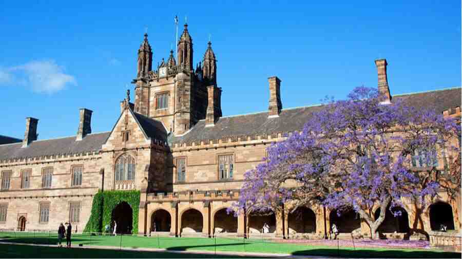 悉尼大學Juris Doctor課程輔導