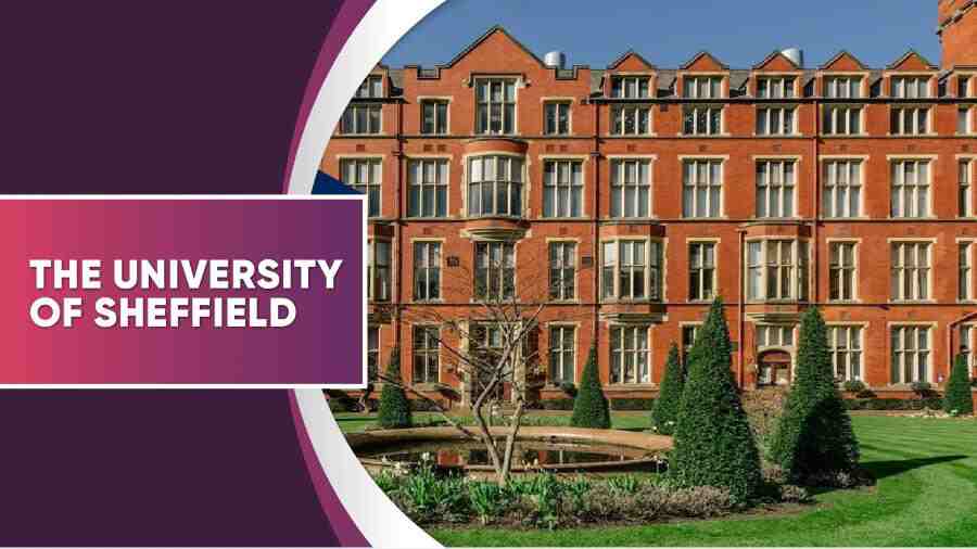 謝菲爾德大學勸退申訴