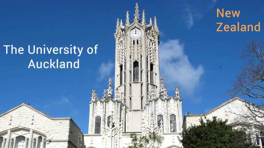 奧克蘭大學(xué)課程輔導(dǎo)