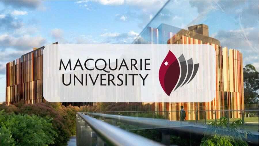 麥考瑞大學金融碩士論文寫作指南