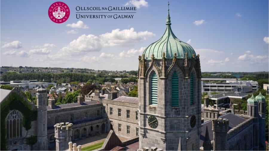 愛(ài)爾蘭高威大學(xué)補(bǔ)考也掛了怎么辦