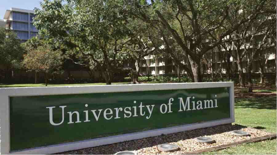 邁阿密大學被指控AI學術不端怎么辦