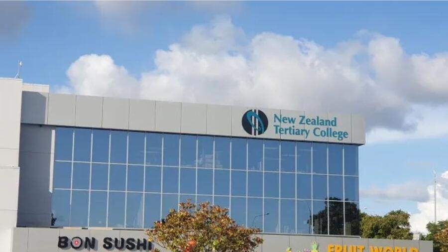 新西蘭高等教育學院NZTC幼教Paper怎么寫