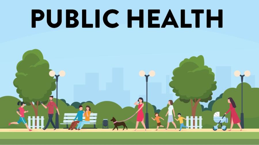 曼徹斯特大學公共健康課程輔導