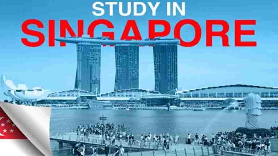 新加坡預科課程輔導