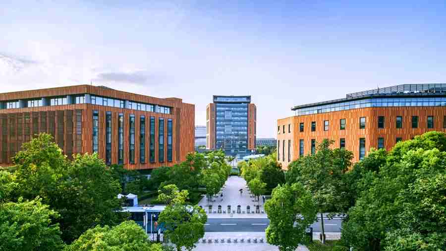 西交利物浦大學DTS001 Final Coursework教程