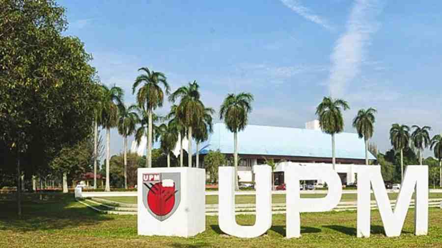 UPM傳媒本科大一選課指導