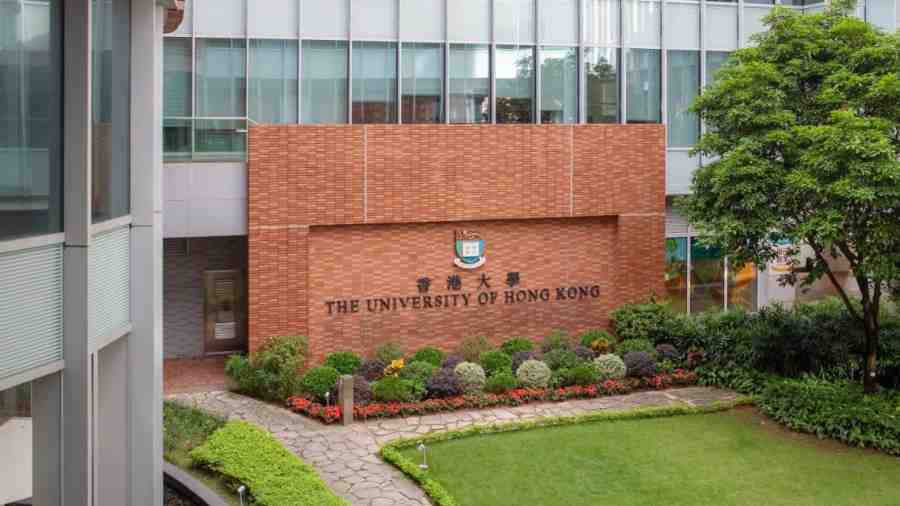 香港大學全球衛生與發展補習全攻略