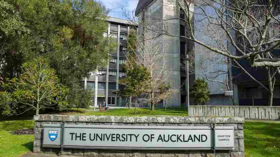 奧克蘭大學申請成績復議(Review)攻略