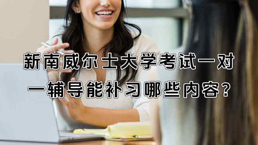 新南威爾士大學考試一對一輔導能補習哪些內容?
